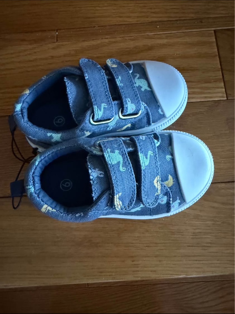 Kids Velcro Canvas Sneakers in Blue with Dinosaur Print